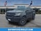 2019 Chevrolet Colorado 4WD ZR2